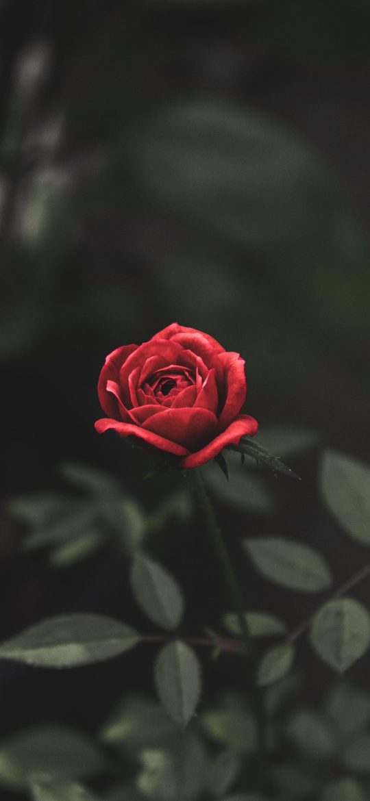 联机小游戏 联机小游戏 App 大厅界面截图，暗色背景上排列着五个玩法入口卡片，顶部显示在线好友头像与人数